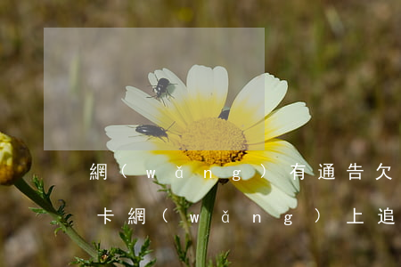 網(wǎng)有通告欠信用卡名單(欠信用卡網(wǎng)上追逃人員名單查詢)