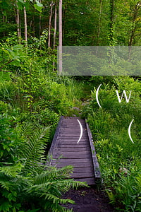 網(wǎng)樂(lè)貸逾期，樂(lè)網(wǎng)貸分期欠款逾期案件
