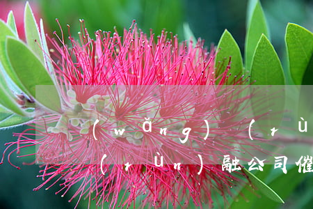 網(wǎng)潤(rùn)金服逾期(江蘇潤(rùn)融公司催款)