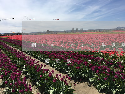 網(wǎng)牛逾期怎么聯(lián)系還款(網(wǎng)牛逾期怎么聯(lián)系還款)