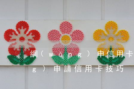 網(wǎng)申信用卡怎么填(網(wǎng)申請信用卡技巧)