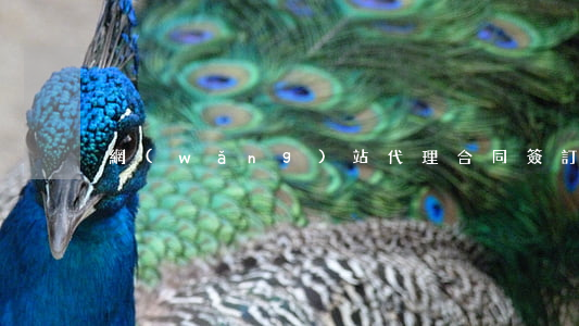 網(wǎng)站代理合同簽訂流程如何