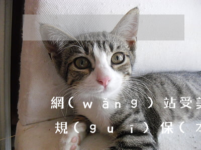 網(wǎng)站受美國(guó)法律法規(guī)保(本網(wǎng)站內(nèi)容受美國(guó)法律保護(hù))