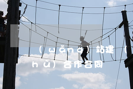 網(wǎng)站建設(shè)技術(shù)合作合同