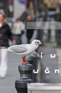 網(wǎng)簽合同能貸小額貸款嗎(網(wǎng)上簽合同的貸款可靠嗎?)