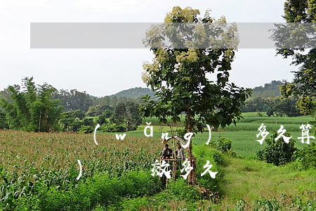 網(wǎng)簽多久算逾期 網(wǎng)簽時效多久