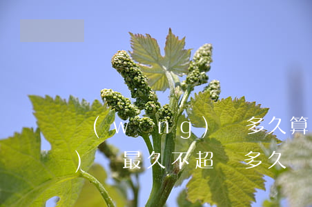 網(wǎng)簽多久算逾期 網(wǎng)簽最久不超過多久