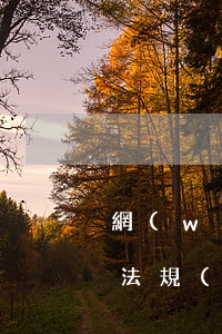 網(wǎng)約車有關(guān)法律法規(guī)(使用網(wǎng)約車的法律意識(shí)都有哪些)