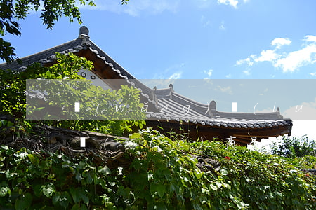 網(wǎng)絡(luò)上信用卡逾期協(xié)商是真的嗎（信用卡協(xié)商后怎么一直顯示逾期）
