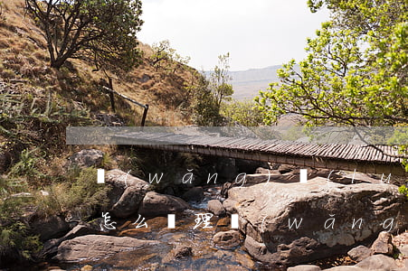 網(wǎng)絡(luò)上信用卡逾期怎么處理(網(wǎng)貸逾期怎么辦理信用卡)