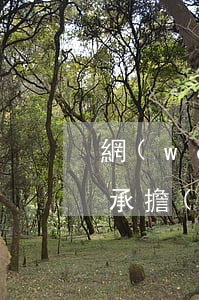 網(wǎng)絡(luò)上散布謠言要承擔(dān)哪些法律責(zé)任