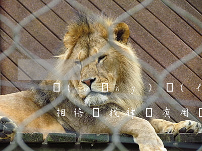 網(wǎng)絡(luò)上的律師可以相信嗎(找律師有用嗎)