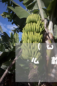 網(wǎng)絡(luò)上逾期的人怎么貸款(信用卡逾期了還能申請網(wǎng)貸嗎)