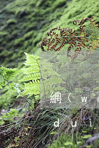 網(wǎng)絡(luò)信貸逾期對(duì)孩子有什么影響嗎-網(wǎng)絡(luò)信貸逾期對(duì)孩子有什么影響嗎知乎