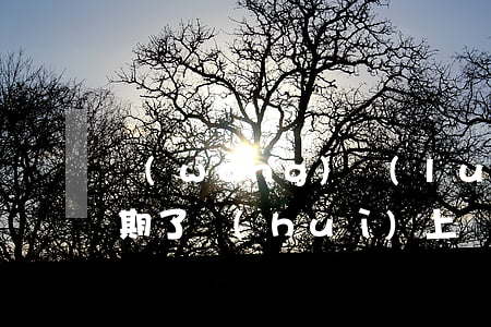 網(wǎng)絡(luò)借貸沒錢還逾期了會(huì)上門要錢-網(wǎng)絡(luò)借貸沒錢還逾期了會(huì)上門要錢嗎