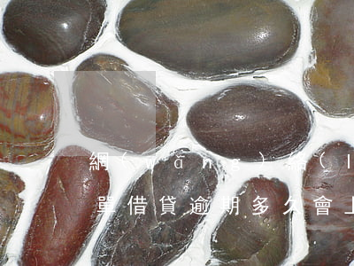 網(wǎng)絡(luò)借貸逾期黑名單(借貸逾期多久會上黑名單)