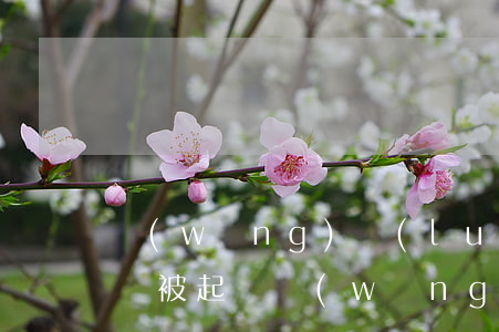 網(wǎng)絡(luò)借錢逾期多久會被起訴(網(wǎng)上借錢逾期會被法院)