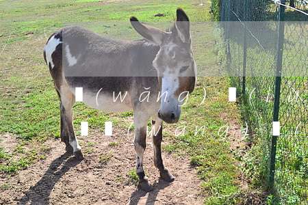 網(wǎng)絡(luò)借錢逾期違法嗎(網(wǎng)絡(luò)借款逾期會怎么樣)