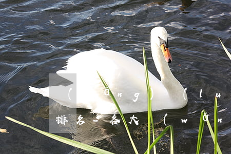 網(wǎng)絡(luò)十大貸款平臺排名-各大網(wǎng)絡(luò)貸款平臺