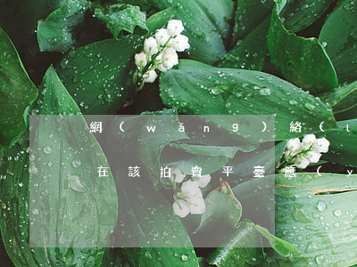 網(wǎng)絡(luò)司法拍賣,法院在該拍賣平臺應(yīng)公示事項(xiàng)