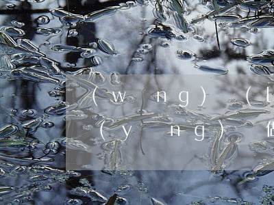 網(wǎng)絡(luò)司法拍賣,法院應(yīng)該做什么