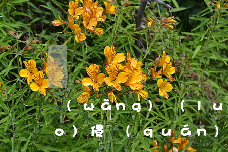 網(wǎng)絡(luò)商標(biāo)侵權(quán)管轄地