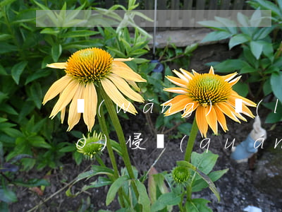 網(wǎng)絡(luò)商標(biāo)侵權(quán)行為有哪幾種（傳統(tǒng)的商標(biāo)侵權(quán)與網(wǎng)絡(luò)商標(biāo)侵權(quán)的聯(lián)系）
