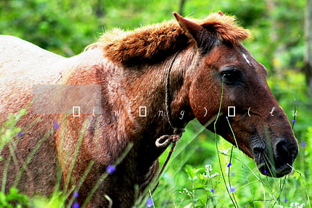 網(wǎng)絡(luò)安全審查辦法