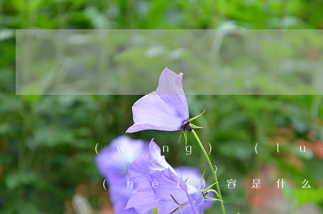 網(wǎng)絡(luò)安全法的基本內(nèi)容是什么