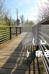 網(wǎng)絡(luò)廣告發(fā)布委托合同