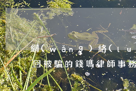 網(wǎng)絡(luò)律師能幫忙追回被騙的錢嗎(律師事務(wù)所能追回網(wǎng)絡(luò)詐騙金額嗎)