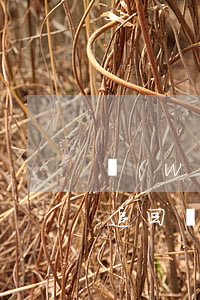 網(wǎng)絡(luò)期貨詐騙可以追回嗎(網(wǎng)上期貨被騙能追回嗎)