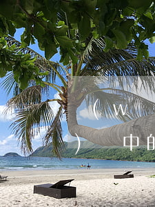 網(wǎng)絡(luò)營(yíng)銷中的法律風(fēng)險(xiǎn)提示