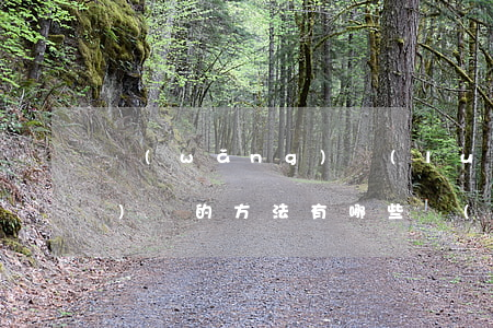 網(wǎng)絡(luò)營(yíng)銷的方法有哪些(網(wǎng)絡(luò)營(yíng)銷的方法有哪些?網(wǎng)絡(luò)推廣營(yíng)銷策略)