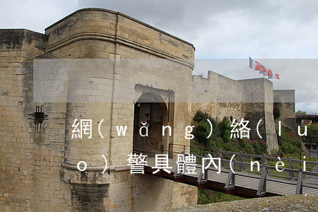 網(wǎng)絡(luò)犯罪報(bào)警具體內(nèi)容是怎樣的