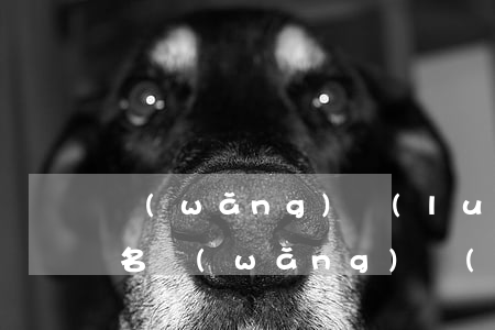網(wǎng)絡(luò)犯罪有哪些罪名(網(wǎng)絡(luò)刑事犯罪有哪些罪名)