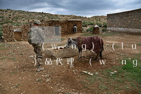 網(wǎng)絡(luò)產(chǎn)品代理(網(wǎng)絡(luò)產(chǎn)品代理)