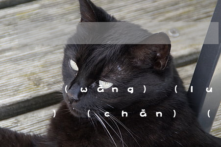 網(wǎng)絡(luò)知識(shí)產(chǎn)權(quán)的侵權(quán)有哪些行為方式