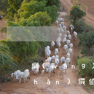 網(wǎng)絡(luò)虛擬財產(chǎn)價值認定