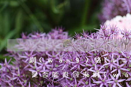 網(wǎng)絡(luò)被詐騙的錢財是否能追回來(網(wǎng)絡(luò)詐騙案錢有追回來的嗎?)