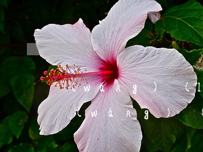 網(wǎng)絡(luò)詐騙如何追回(網(wǎng)絡(luò)詐騙如何追回被騙的錢)