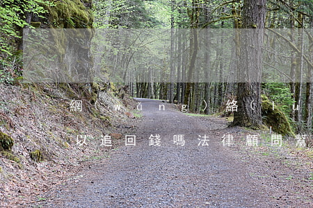 網(wǎng)絡(luò)詐騙找律師可以追回錢嗎(法律顧問幫忙追回網(wǎng)絡(luò)詐騙的錢)