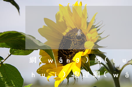 網(wǎng)絡(luò)詐騙找誰(shuí)處理(網(wǎng)絡(luò)詐騙案件怎么處理)
