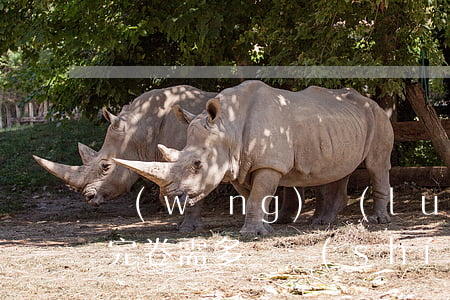 網(wǎng)絡(luò)詐騙案律師閱完卷需多長時(shí)間(網(wǎng)絡(luò)詐騙立案后調(diào)查期多長時(shí)間)
