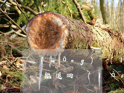 網(wǎng)絡(luò)詐騙案立案了錢能追回來(lái)嗎(已立案的詐騙可以追回錢么)