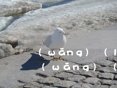 網(wǎng)絡(luò)詐騙法律援助(網(wǎng)絡(luò)詐騙法律咨詢免費(fèi))