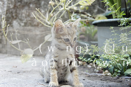 網(wǎng)絡(luò)詐騙舉報(bào)中心(網(wǎng)絡(luò)詐騙舉報(bào)中心電話是多少)