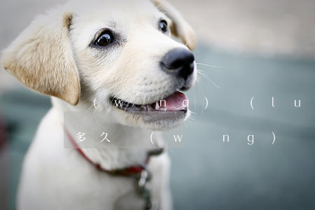 網(wǎng)絡(luò)詐騙追回最快多久(網(wǎng)絡(luò)詐騙追回最快多久數(shù)額小)