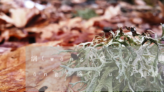 網(wǎng)絡(luò)誹謗罪(網(wǎng)絡(luò)誹謗罪真實(shí)案例)