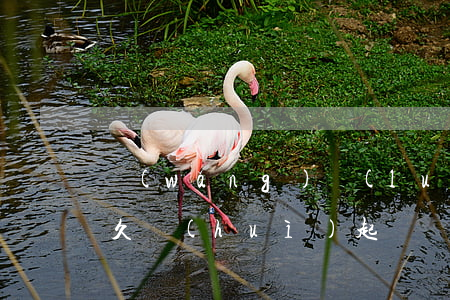 網(wǎng)絡(luò)貨款逾期后多久會(huì)起訴(網(wǎng)絡(luò)借貸逾期多久起訴)